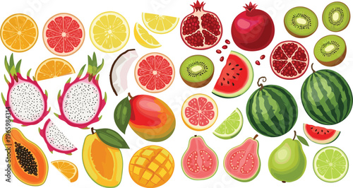 Exotic Fruit Vector Set Featuring Pomegranate, Kiwi, Dragon Fruit, Papaya, Mango, Watermelon, Pear, and Citrus Fruits