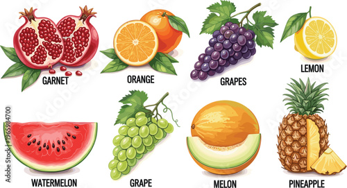 Vibrant Fruit Vector Set Featuring Pomegranate, Orange, Grapes, Lemon, Watermelon, Melon, Pineapple, and Garnet Illustrations