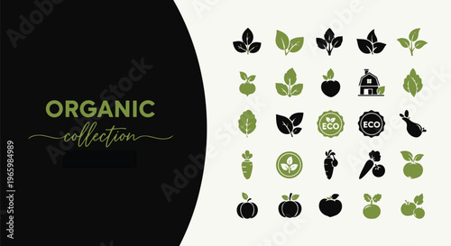 Organic collection of eco friendly icons and symbols in green and black