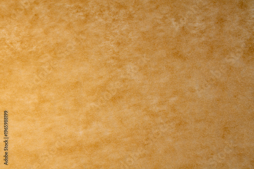 Aged parchment texture back...