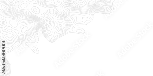 Abstract topography pattern seamless lines sea map modern design white background. Abstract digital topographic contour map concept space geometric strip grid line. Natural discovery of maps.