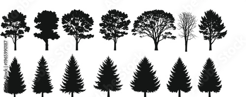 Black silhouette collection of diverse deciduous and evergreen pine tree shapes isolated on white background for nature and landscape design.