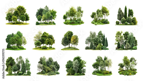 PNG Lush green tree clusters variety, transparent background