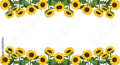 Decorative horizontal border featuring vibrant yellow sunflowers with green leaves on the top and bottom of a white space.