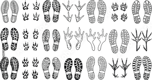Footprint collection featuring human boot soles, animal paw prints, and bird tracks isolated on white background for tracking and adventure vector.