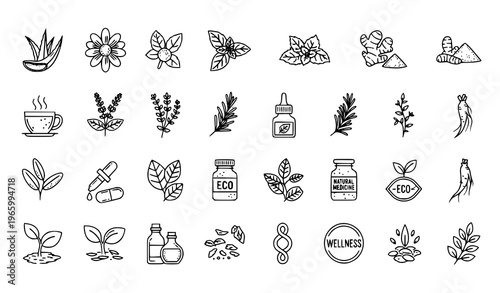 Natural medicinal plants line icons collection with herbal remedies leaves oils and wellness symbols vector set