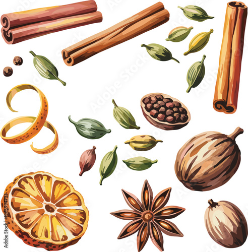 Collection of aromatic spices cinnamon sticks cardamom pods nutmeg star anise dried orange slice vector illustration for cooking design