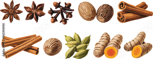 Collection of aromatic spices including cinnamon sticks star anise cloves cardamom nutmeg and turmeric isolated vector illustration food ingredient set
