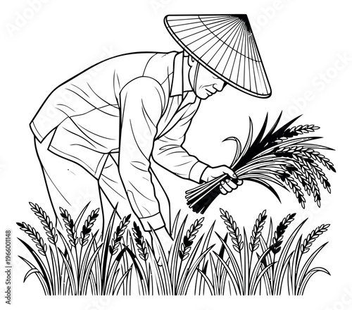 Line art illustration of Asian farmer harvesting rice depicting traditional agriculture worker bending in field for cultural and farming design