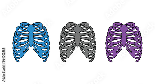 Three colorful ribcage illustrations in blue, gray, and purple, arranged side by side against a plain white background.