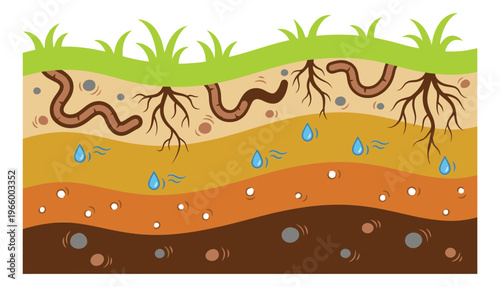 Cartoon illustration of soil layers cross section depicting earthworms roots and ground strata for nature and education design