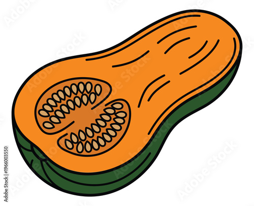 Cartoon illustration of a halved butternut squash depicting seeds and flesh for food and cooking design