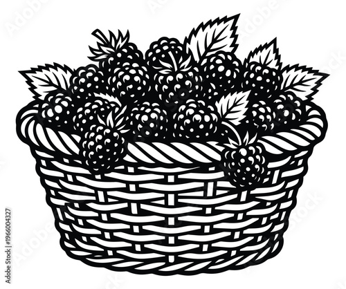 Woodcut illustration of blackberries in a wicker basket depicting fresh picked fruit for food and harvest design