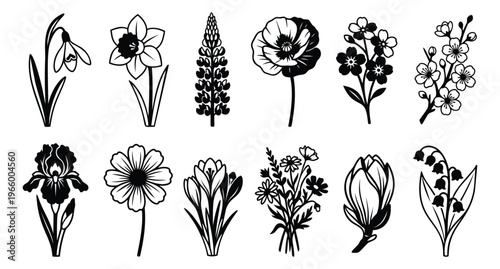 Silhouette and outline icon set of 12 spring flowers featuring snowdrop, daffodil, iris, poppy and botanical blooms for floral design