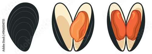 Flat icon set of 3 mussels featuring closed shell, open with orange flesh and open with red flesh for seafood design