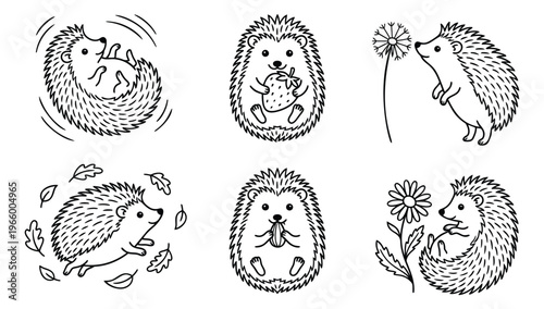 Outline icon set of 6 hedgehogs featuring seasonal activities with strawberry, dandelion, flower and autumn leaves for nature design