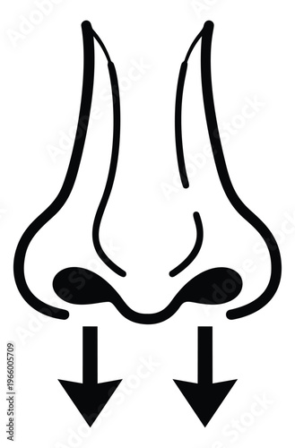Outline illustration of human nose depicting downward airflow arrows for medical and respiratory design