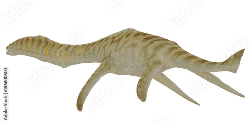 Fotografi Fossil replica of prehistoric aquatic creature