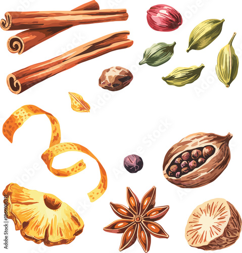 Set of aromatic spices cinnamon sticks cardamom pods nutmeg star anise citrus peel vector illustration for cooking ingredients design
