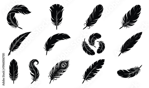 Silhouette icon set of 14 feathers featuring quill, plume, peacock and decorative bird feather shapes for nature and writing design