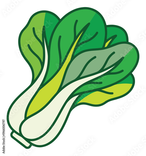 Cartoon illustration of bok choy depicting fresh leafy green vegetable for food and cooking design
