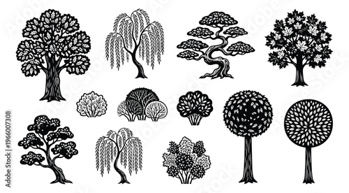 Woodcut icon set of 12 trees and shrubs featuring oak, willow, bonsai, maple and topiary varieties for nature and garden design