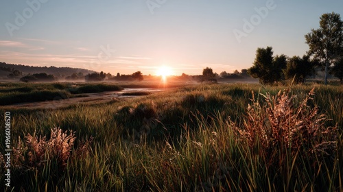 Sunrise Over the Meadow: Capture the breathtaking beauty of nature with this sunrise over a tranquil meadow.