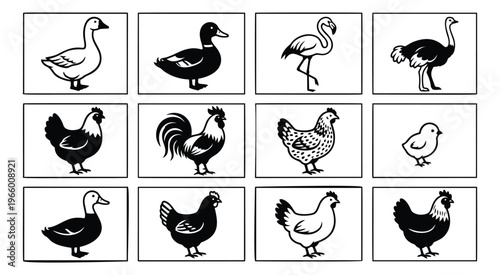 Silhouette and flat icon set of 12 poultry and farm birds featuring goose, duck, rooster, hen and chick for agricultural design