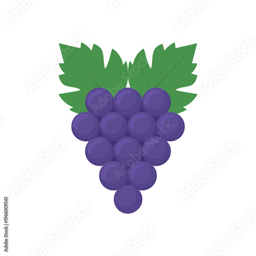 A vibrant illustration depicts a bunch of plump dark purple grapes with attached green leaves