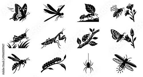 Silhouette icon set of 12 insects featuring butterfly, dragonfly, ant, bee, grasshopper, praying mantis, ladybug and spider for nature design