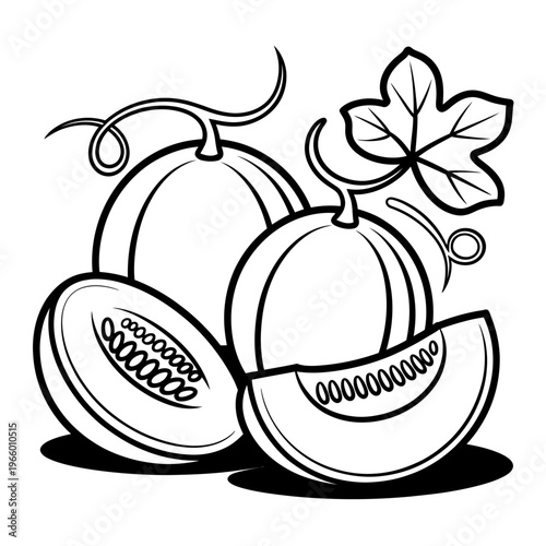 Black and white illustration of melons with leaf on transparent background
