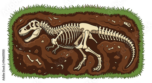 Cartoon illustration of a dinosaur skeleton fossil depicting a t-rex buried in soil for paleontology and education design