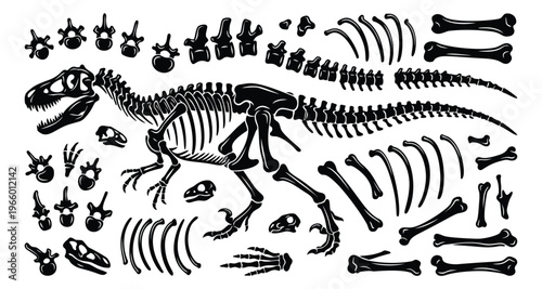 Silhouette set of dinosaur skeleton bones featuring t-rex fossil anatomy and paleontology elements for educational design