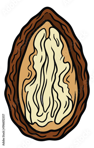 Cartoon illustration of a walnut depicting a halved nut with detailed inner texture for food and nutrition design