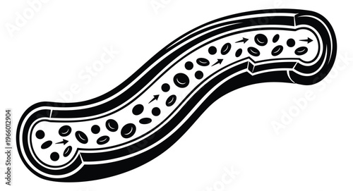 Flat illustration of a blood vessel cross section depicting red blood cell flow for medical and biology design