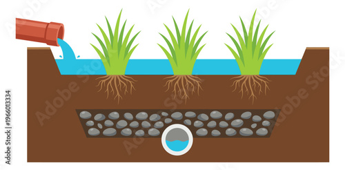 Flat illustration of a rain garden cross section depicting stormwater filtration through gravel and plant roots for environmental design