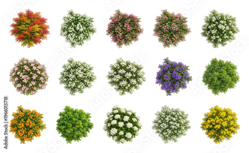 PNG Vibrant floral top view collection, transparent background