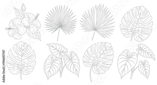 Tropical Leaves and Hibiscus Flower Outline Collection