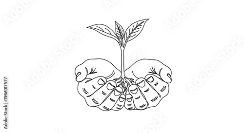 Hands holding small plant with leaves on transparent background  
