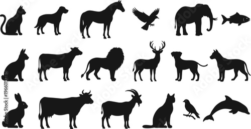 Photography wild animals silhouettesanimal, silhouette, wildlife, farm, pet, mammal, bird, i