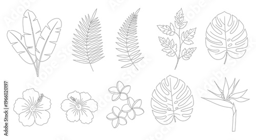 Tropical Leaves and Flowers Outline Vector Set - Exotic Botanical Illustration