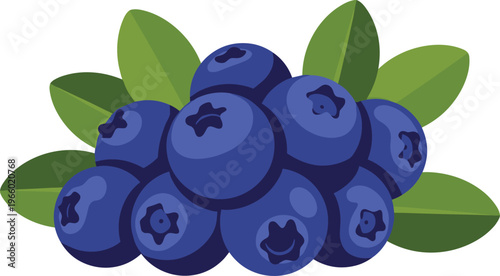 Blueberries with green leaves on white background, Fresh and healthy food