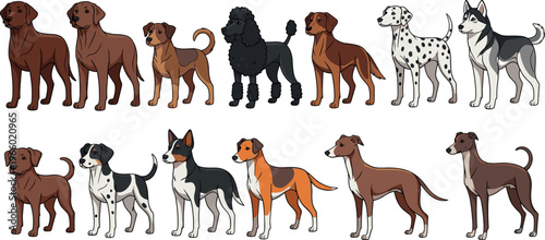 Cartoon Dog Breeds Set with Dalmatian, Husky, Poodle, and More