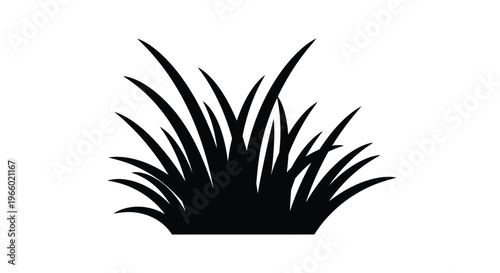 Black silhouette of spiky grass or plant foliage silhouette