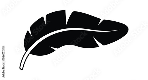 A simple black feather illustration with elegant flowing lines silhouette