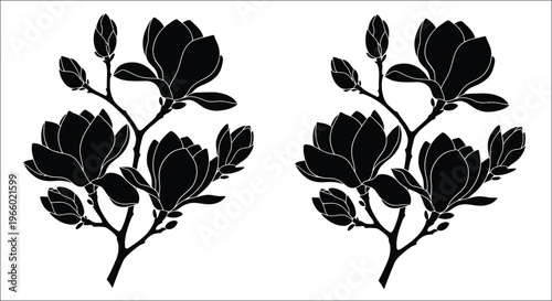Floral arrangement of magnolia blossoms in a striking black silhouette