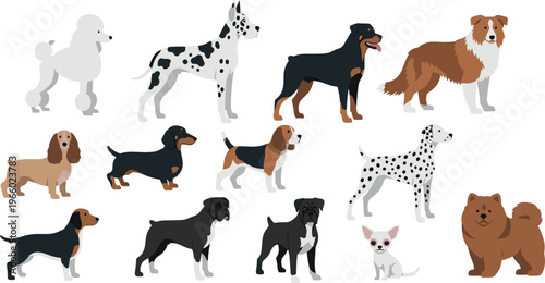 Cartoon Dog Breeds Set with Poodle, Rottweiler, Dalmatian, Beagle, and More