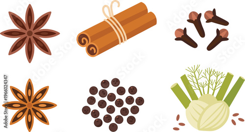 Spice collection with star anise cinnamon sticks cloves peppercorns fennel seeds vector illustration aromatic cooking ingredients set