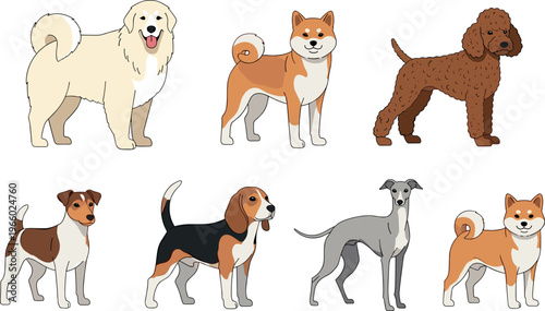 Cartoon Dog Breeds Set with Shiba Inu, Poodle, Beagle, and More