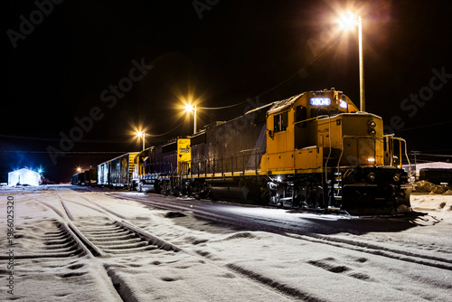 Polar bear Express train at night